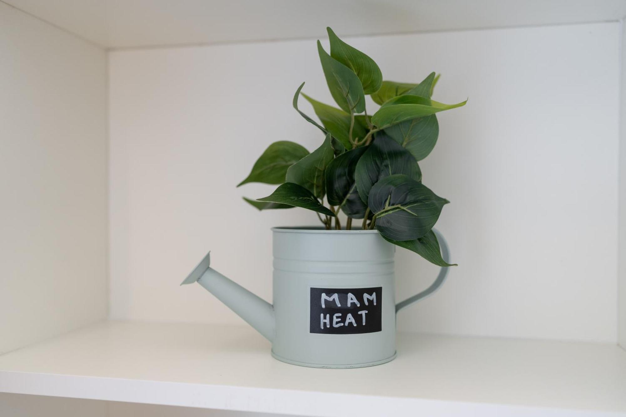 Mam Heat Apartments - Viana City Centre Viana do Castelo Dış mekan fotoğraf
